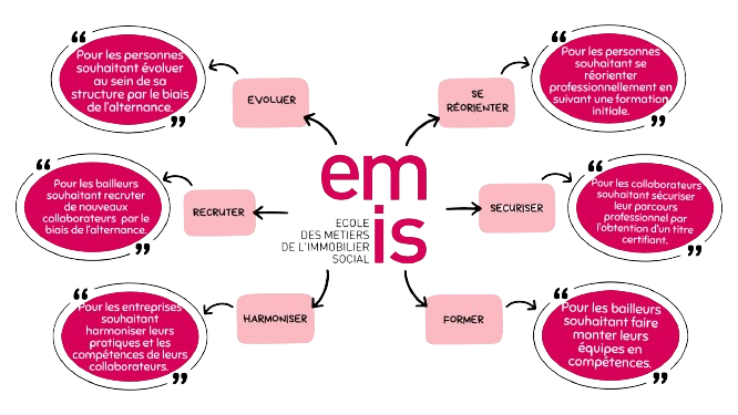 Emis-explication-de-l-EMIS.png